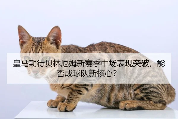 皇马期待贝林厄姆新赛季中场表现突破，能否成球队新核心？
